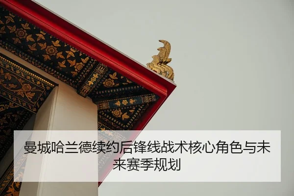 man-cheng-ha-lan-de-xu-yue-hou-feng-xian-zhan-shu-he-xin-jue-se-yu-wei-lai-sai-ji-gui-hua-2-362.jpg