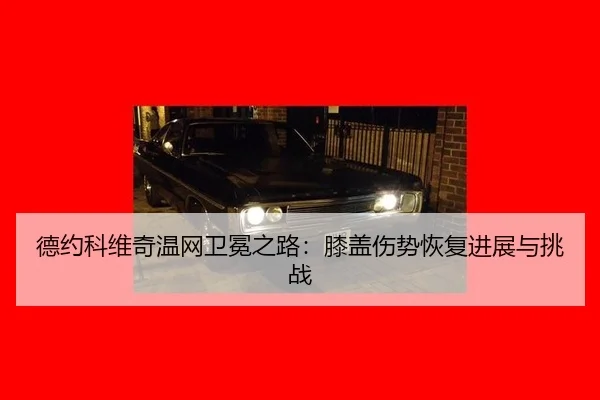 德约科维奇温网卫冕之路：膝盖伤势恢复进展与挑战