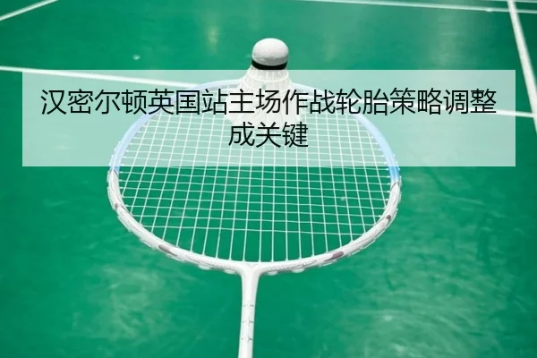 han-mi-er-dun-ying-guo-zhan-zhu-chang-zuo-zhan-lun-tai-ce-lve-tiao-zheng-cheng-guan-jian-2-168.jpg